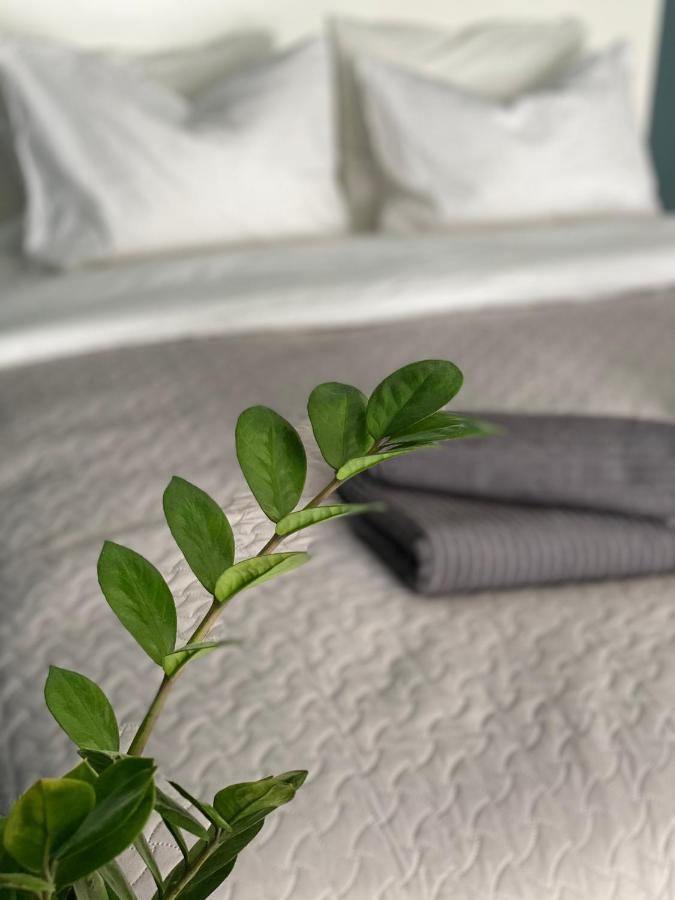 City Ocean Apartment Daugavpils Ngoại thất bức ảnh